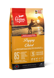Chiot